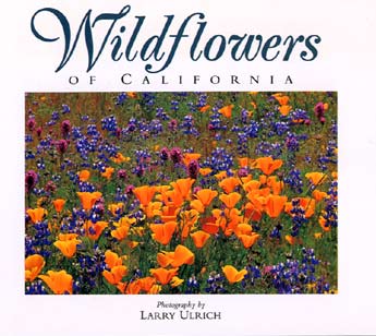 Wildflowers of California Postc...