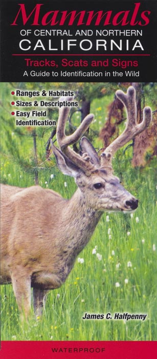 Mammals of Central and Northern California; Tracks Scats and Signs; A Guide to Identification in the Wild by Text & Photos by James C. Halfpenny