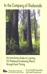 In the Company of Redwoods; An Interactive Guide to Learning 50 Redwood Community Plants through Hand Tinting